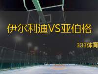 伊爾利迪VS亞伯格