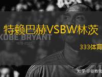 特賴巴赫VSBW林茨