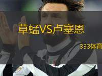 草蜢VS盧塞恩