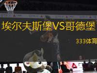埃爾夫斯堡VS哥德堡