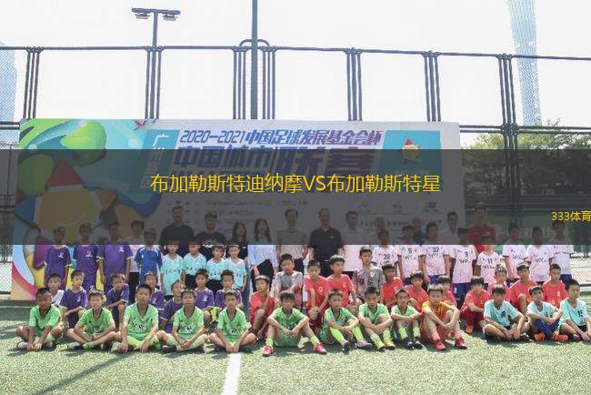 布加勒斯特迪納摩VS布加勒斯特星