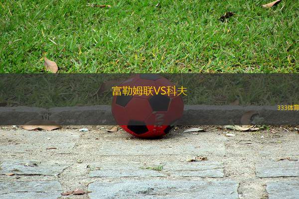 富勒姆聯(lián)VS科夫