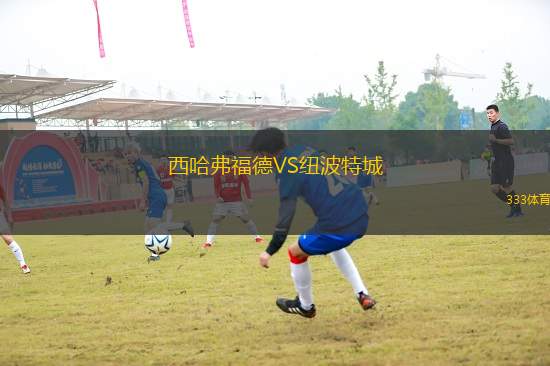 西哈弗福德VS紐波特城