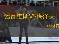 諾瓦維斯VS梅澤夫