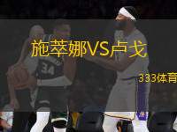 施萃娜VS盧戈