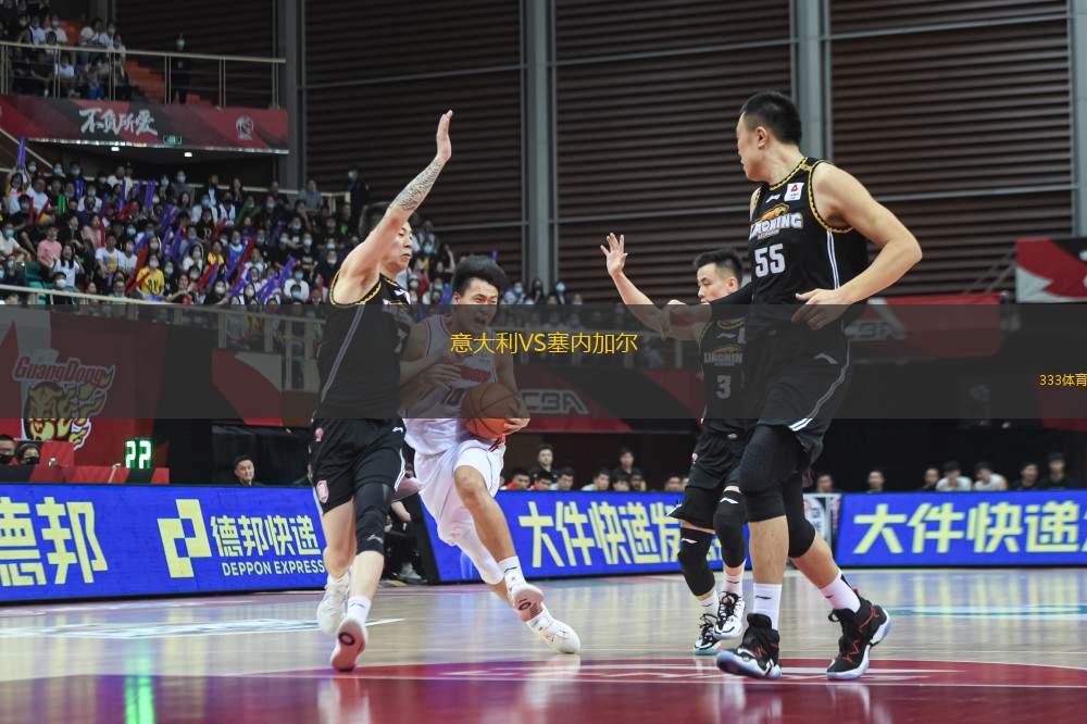 意大利VS塞內加爾