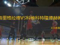 特里格拉德VS科維科特隆德赫姆